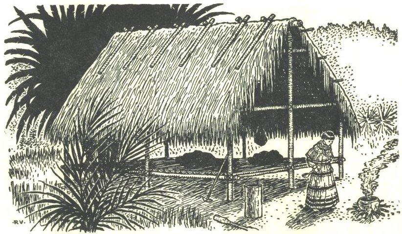 Image of Micco's wigwam.