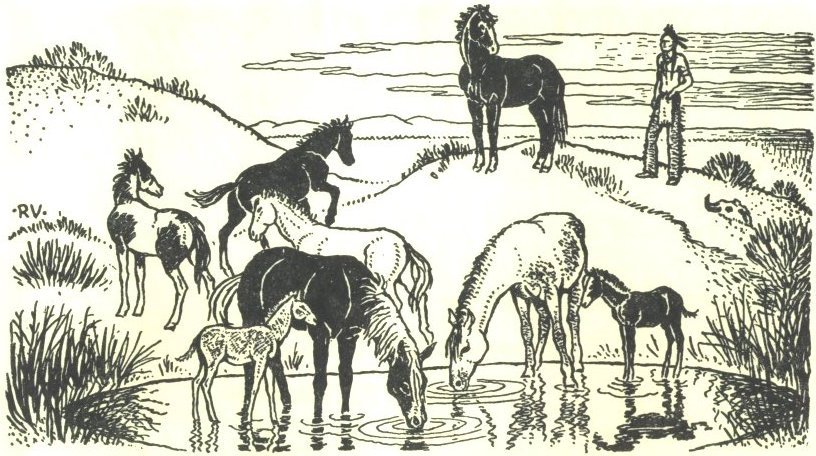 Image of horses at a watering hole.